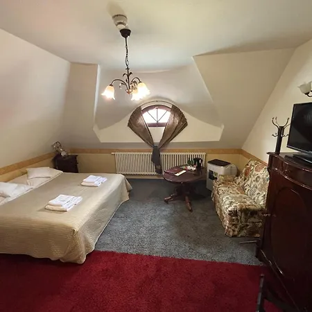 Hotel Palacyk Konin (Greater Poland)